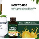 lymphatic-drainage-drops-with-echinacea--5.jpg