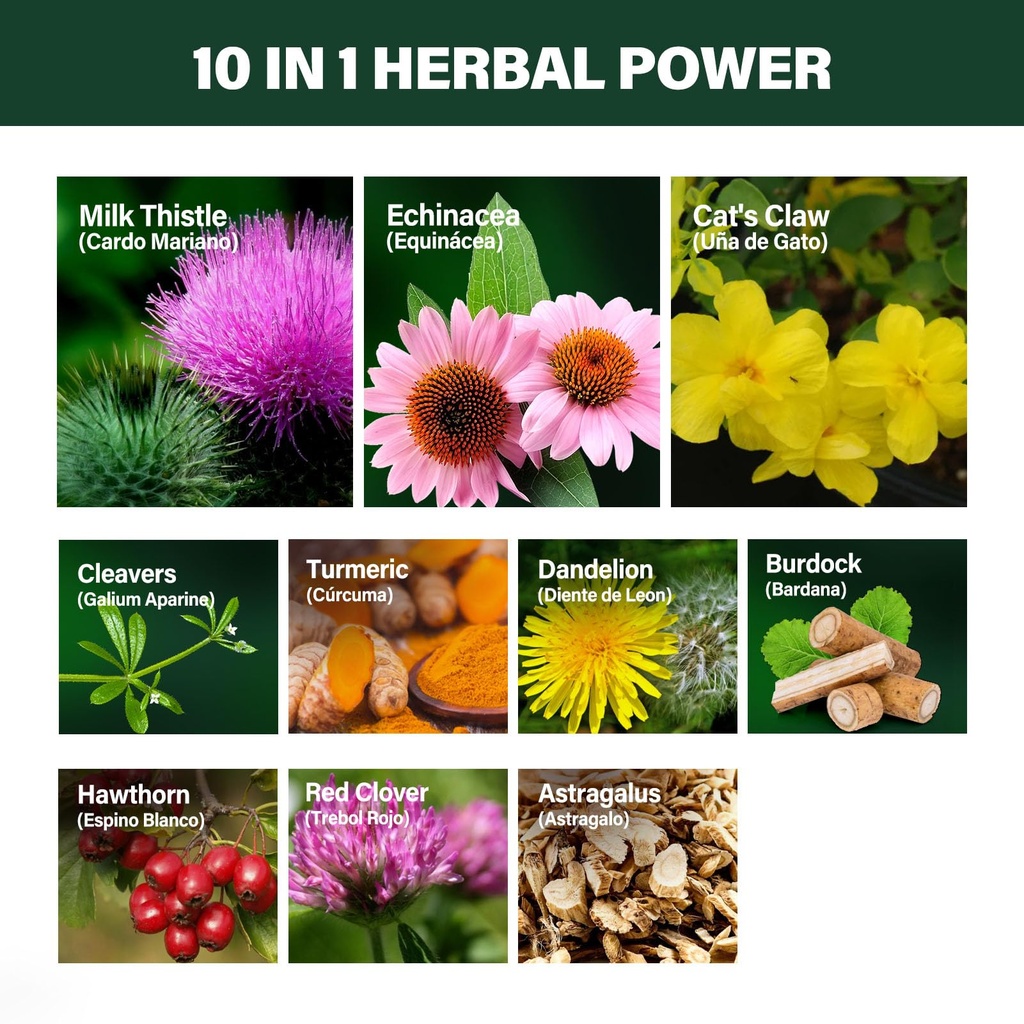 lymphatic-drainage-drops-with-echinacea--3.jpg