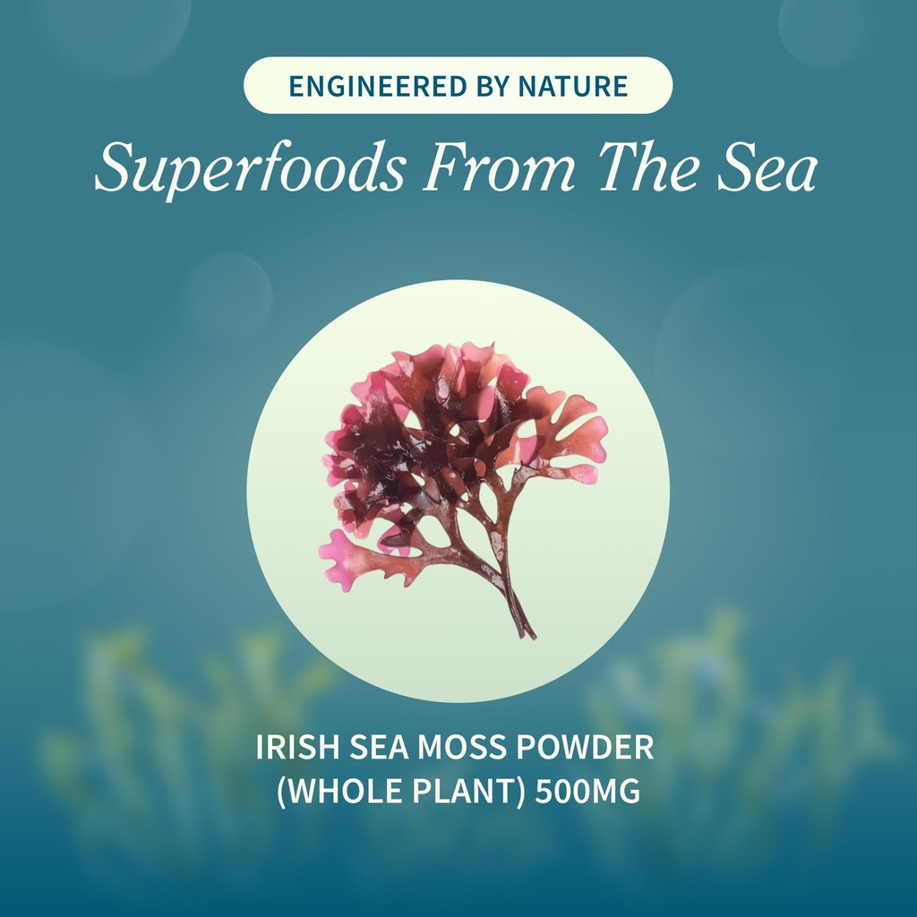 snap-supplements-irish-sea-moss-marine-a-3.jpg