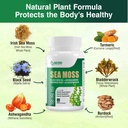 sea-moss-capsules-irish-sea-moss-pills-w-3.jpg