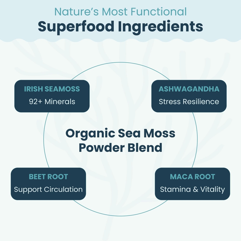 atlantic-naturals-superfood-organic-sea--5.jpg