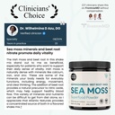 atlantic-naturals-superfood-organic-sea--3.jpg