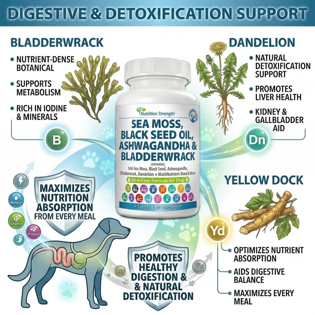 sea-moss-for-dogs-17-in-1-immunity-skin--4.jpg