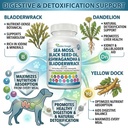 sea-moss-for-dogs-17-in-1-immunity-skin--4.jpg