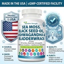 sea-moss-for-dogs-17-in-1-immunity-skin--6.jpg