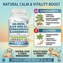 sea-moss-for-dogs-17-in-1-immunity-skin--5.jpg