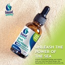 irish-sea-moss-drops-citrus-berry-flavor-4.jpg