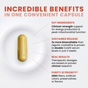 microactive-coq10-enhanced-with-micropqq-4.jpg
