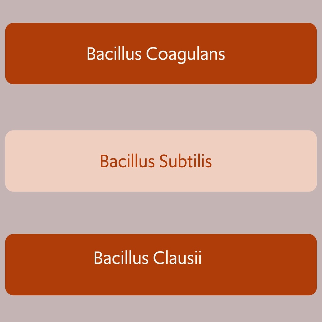bacillus-b3-spore-based-probiotic-enzyme-3.jpg