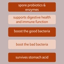 bacillus-b3-spore-based-probiotic-enzyme-6.jpg