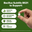 bacillus-subtilis-probiotic-240-tablets--4.jpg