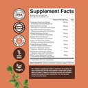 bundle-of-nootropic-brain-supplement-for-3.jpg