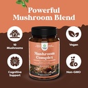 bundle-of-nootropic-brain-supplement-for-5.jpg
