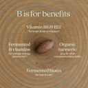 new-chapter-vitamin-b-complex-fermented--4.jpg
