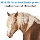 su-per-potassium-chloride-horse-electrol-3.jpg