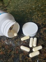 bobs-best-coral-calcium-supreme-i-100-pu-4.jpg