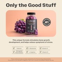 truheight-growth-gummies-grape-tall-nutr-4.jpg