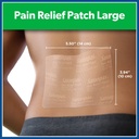 salonpas-pain-relief-patch-9-count-large-2.jpg