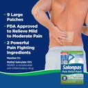 salonpas-relief-patches-large-9-ct-pack--2.jpg