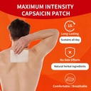 kongdy-20-pcs-capsaicin-heat-relief-patc-4.jpg