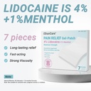 ishancare-lidocaine-4-menthol-1-patches--2.jpg