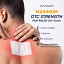 4-lidocaine-patches-maximum-strength-pai-2.jpg