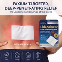 4-lidocaine-patches-maximum-strength-pai-3.jpg