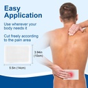 kongdy-4-lidocaine-patches-10-count-maxi-2.jpg