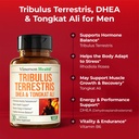 testosterone-supplement-tribulus-terrest-5.jpg