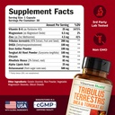 testosterone-supplement-tribulus-terrest-3.jpg