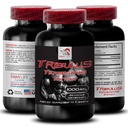 increase-sex-drive-tribulus-terrestris-e-6.jpg