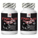 increase-sex-drive-tribulus-terrestris-e-2.jpg