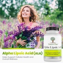 simply-natures-pure-alpha-lipoic-acid-60-5.jpg