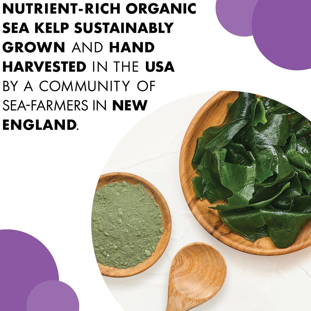 bluebonnet-nutrition-atlantic-sea-kelp-i-4.jpg