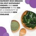 bluebonnet-nutrition-atlantic-sea-kelp-i-4.jpg