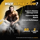 alpha-grow-for-men-official-alphagrow-ma-4.jpg