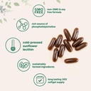micro-ingredients-sunflower-lecithin-1-6-3.jpg