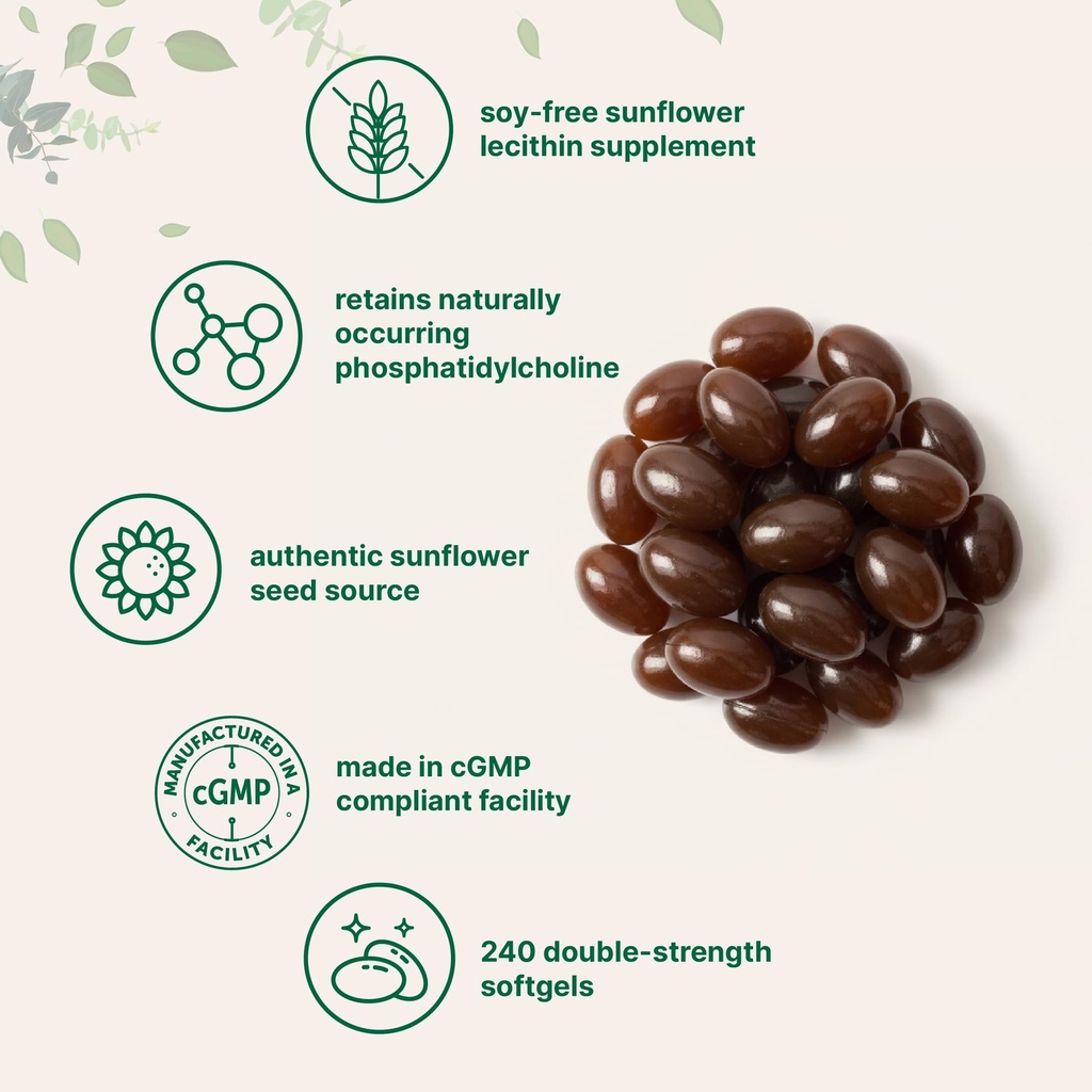 micro-ingredients-sunflower-lecithin-2-4-3.jpg