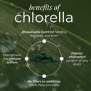 recoverybits-organic-chlorella-algae-tab-3.jpg