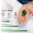 recoverybits-organic-chlorella-algae-tab-6.jpg
