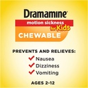 dramamine-motion-sickness-relief-for-kid-3.jpg