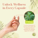 andrographis-capsules-andrographis-panic-3.jpg