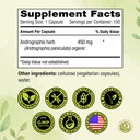 andrographis-capsules-andrographis-panic-5.jpg