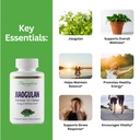 paradise-herbs-jiaogulan-vital-energy-ad-2.jpg