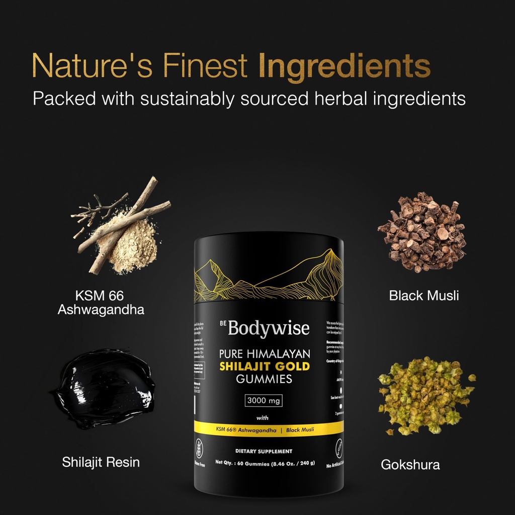be-bodywise-pure-himalayan-shilajit-gumm-2.jpg