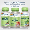 solaray-cascara-sagrada-450-mg-tradition-6.jpg
