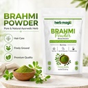 brahmi-powder-8-oz-227-g-bacopa-monnieri-5.jpg