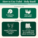 organic-india-tulsi-herbal-supplement-ho-4.jpg