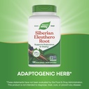 nature-s-way-premium-herbal-siberian-ele-4.jpg