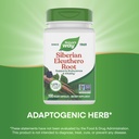 nature-s-way-premium-herbal-siberian-ele-4.jpg